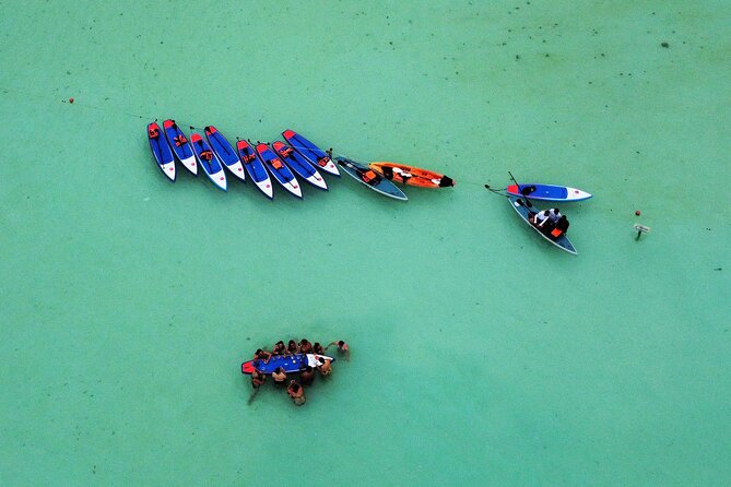 Sunrise by Paddle or Kayak with Floating Picnic - The bird sanctuary and a picnic that stays on the water
