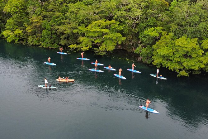 Sunrise by Paddle or Kayak with Floating Picnic - Guides who shape the morning