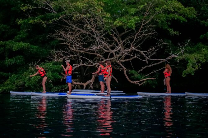 Sunrise Paddle Quest: Embrace the Dawn on Bacalar's Waters - Who will enjoy this Bacalar paddle