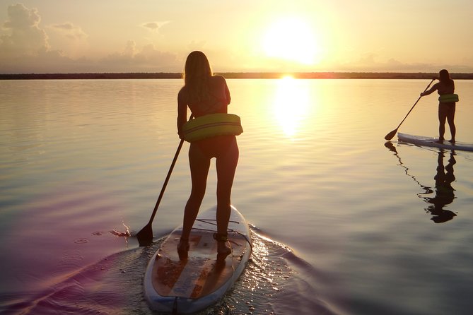 Sunrise Tour (Stand Up Paddle or Kayak) - Cenote Negro and the Lagoon’s Darker Tone