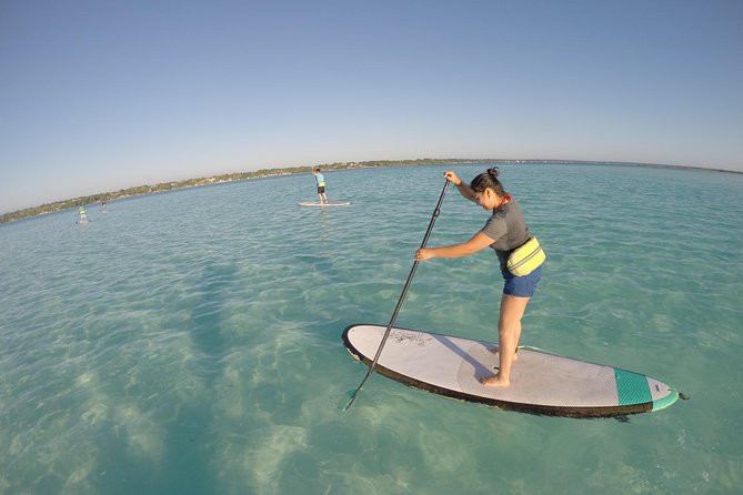 Sunrise Tour (Stand Up Paddle or Kayak) - Choosing Between a Stand Up Paddle Board and Kayak
