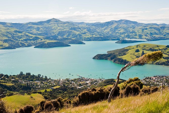 Sunrise wildlife sea kayaking in Akaroa marine reserve - Weather, fitness, and the practical trade-offs