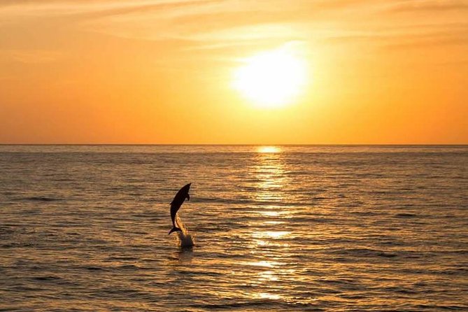 Sunset Beach Hopping Cruise, Cala Comte and Cala Bassa, SUP and snorkelling - Watching the Ibiza sunset from the boat