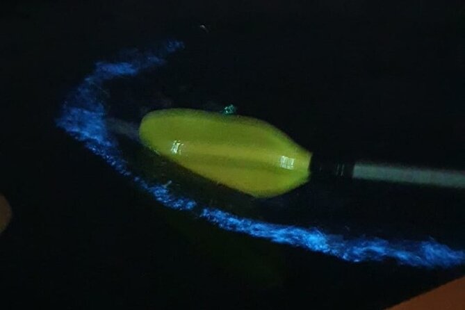 Sunset & Bioluminescent Plankton Kayaking Lan Ha bay - Why Lan Ha Bay works after dark