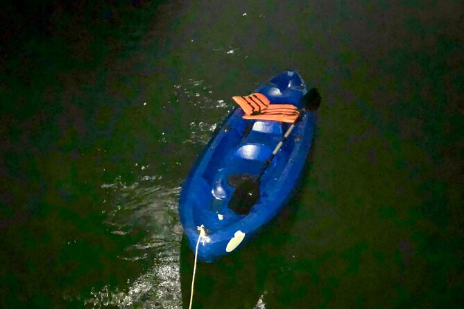 Sunset & Bioluminescent Plankton Kayaking Lan Ha bay - 3:45 PM: From your hotel to Beo Harbor