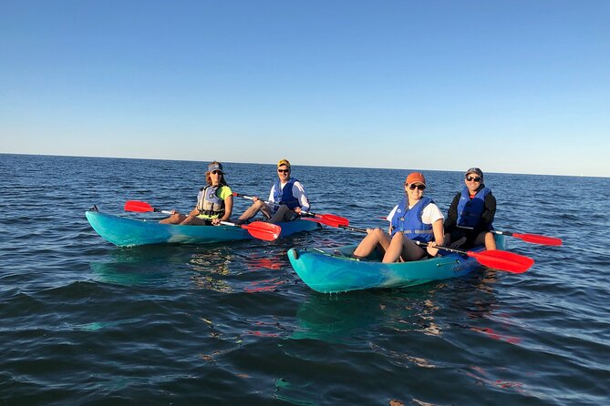 Sunset Dolphin Kayak Tours - Guides, safety, and the small-group advantage