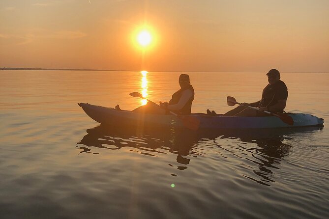 Sunset Dolphin Kayak Tours - Price, booking rhythm, and practical value