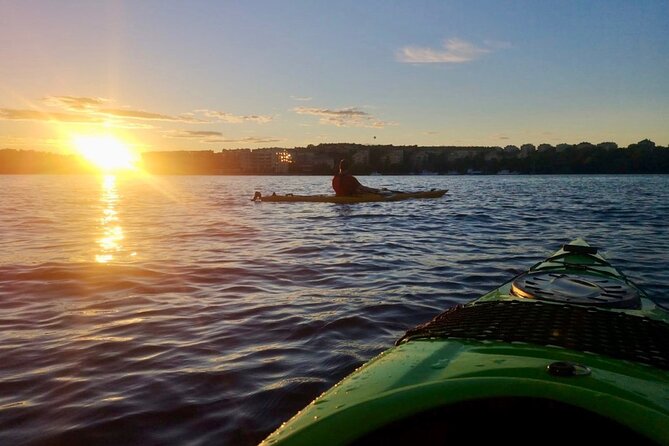 Sunset Kayak Tour in Central Stockholm and Swedish Fika - How the guides shape the experience