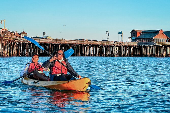 Sunset Kayak Tour in Santa Barbara Harbor (2 Hours) - Santa Barbara Waterfront and harbor wildlife