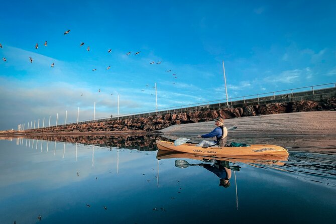 Sunset Kayak Tour in Santa Barbara Harbor (2 Hours) - Stearns Wharf from the water