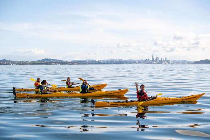 Sunset kayak tour to Rangitoto Island - Walking down with headlamps