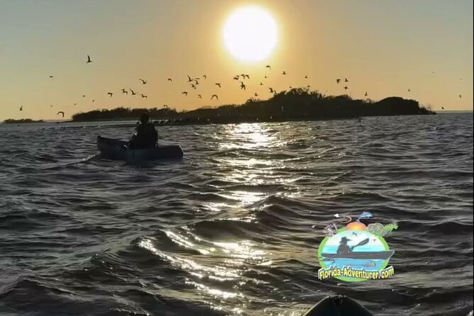 Sunset Kayaking - Wildlife Refuge (Titusville) - Five things to know before you paddle