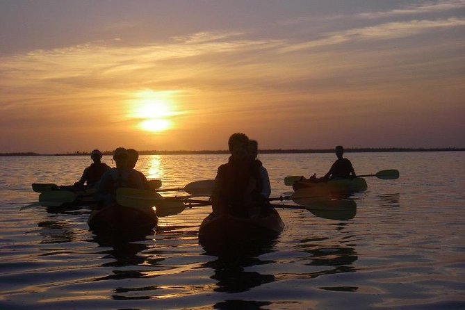 Sunset Kayaking - Wildlife Refuge (Titusville) - Sunset wildlife on the Indian River Lagoon