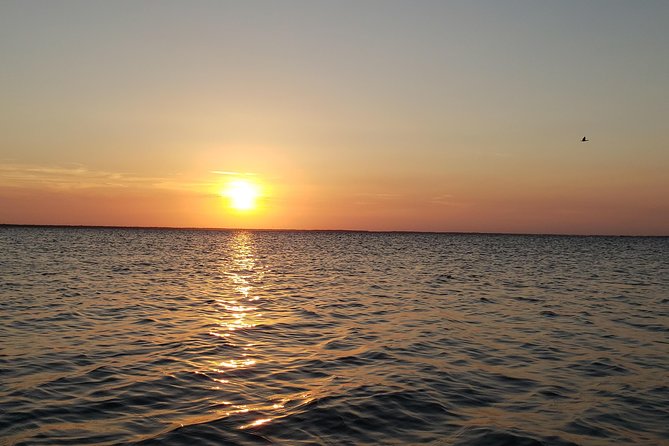Sunset Kayaking - Wildlife Refuge (Titusville) - What the $55 price really covers
