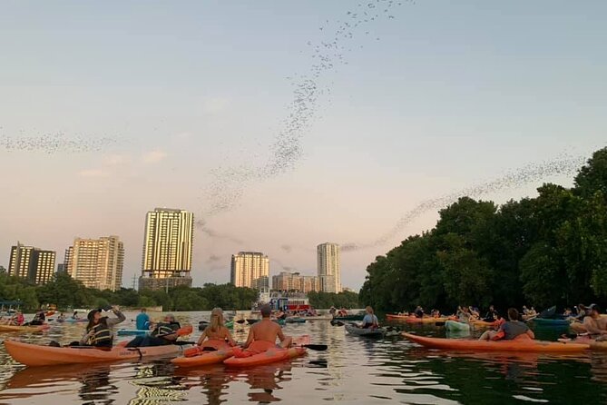 Sunset Skyline Kayak Tour - Stop two: Paddling across Lady Bird Lake