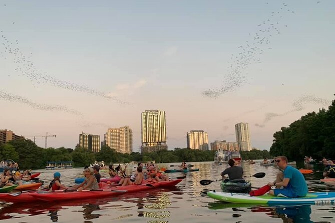 Sunset Skyline Kayak Tour - Is the tour good value?