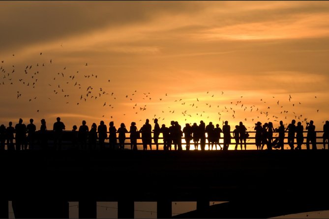 Sunset Skyline Kayak Tour - Getting started at Lone Star Kayak Tours