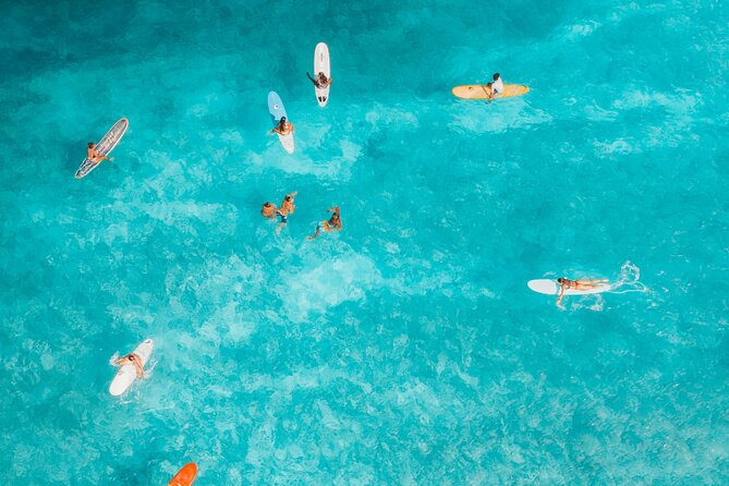 Sunset Sunrise or Full Moon Paddle Surf Experience - Meeting at Club Patí Vela Barcelona