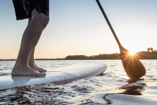 SUP Paddle Board Rentals - What This Cascais SUP Rental Really Is