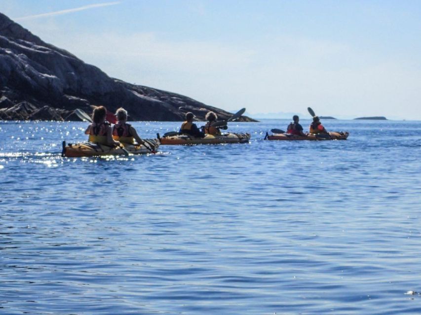 Svolvaer: Sea Kayaking Experience - Why this paddle is different from a standard boat trip