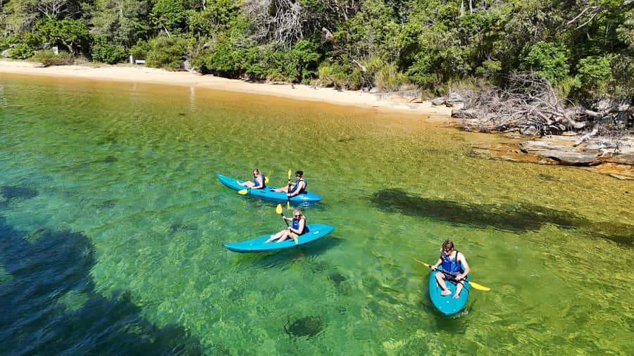 Sydney: Guided Kayak Taster Tour from Manly - Key points at a glance