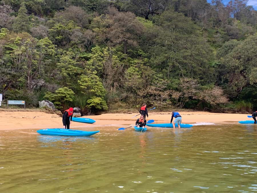 Sydney: Guided Kayak Taster Tour from Manly - Who will enjoy this Manly kayaking experience?
