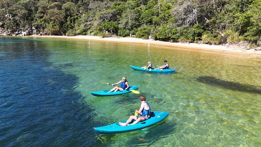 Sydney: Guided Kayak Taster Tour from Manly - Why this short Manly paddle works well
