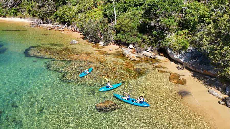Sydney: Guided Kayak Taster Tour from Manly - Ten minutes of safety and paddling practice