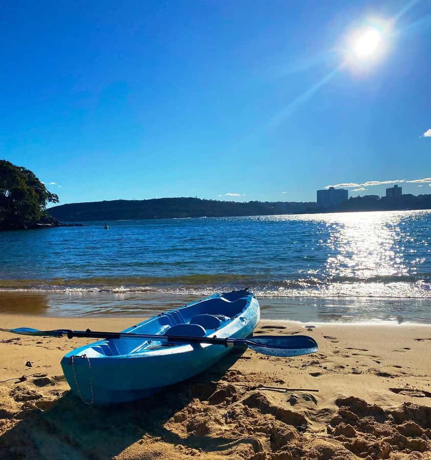 Sydney: Guided Kayak Taster Tour from Manly - Paddling along Manly’s shoreline