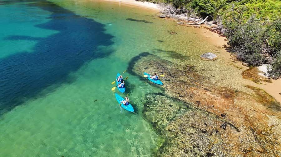Sydney: Guided Kayak Taster Tour from Manly - Store Beach, the quiet reward