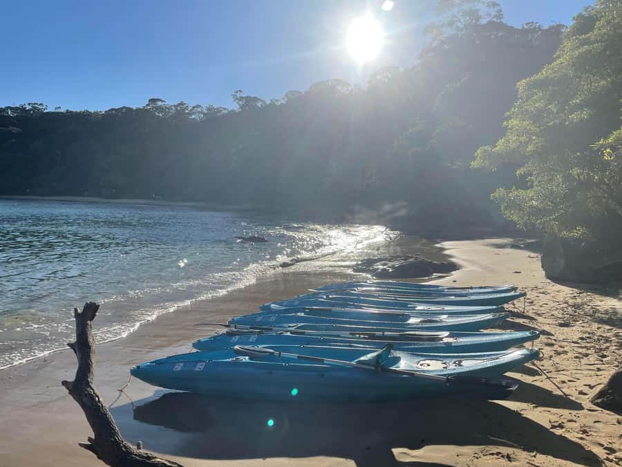 Sydney: Guided Kayak Taster Tour from Manly - Choosing how to return to Manly