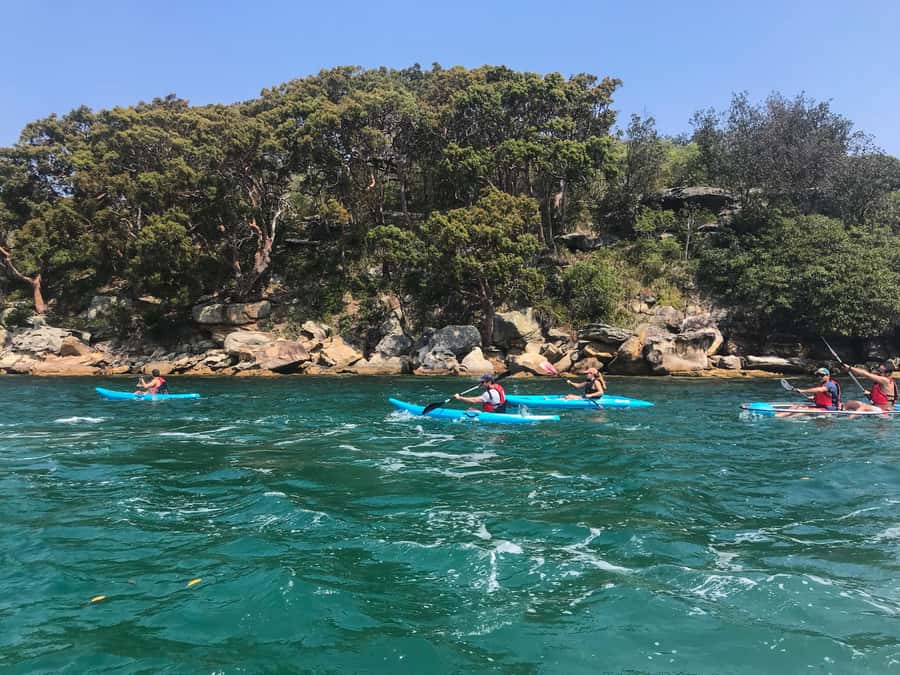Sydney: Guided Kayak Tour of Manly Cove Beaches - Starting beside Manly Wharf