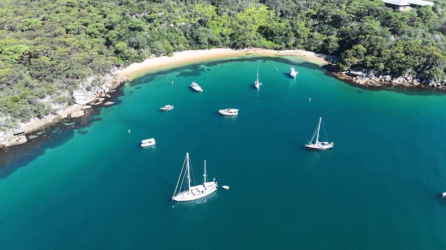 Sydney: Guided Kayak Tour of Manly Cove Beaches - Weather, fitness, and what to bring
