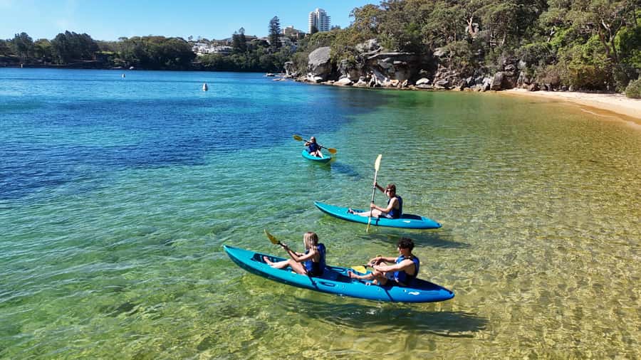 Sydney: Guided Kayak Tour of Manly Cove Beaches - Is $67 a fair price?