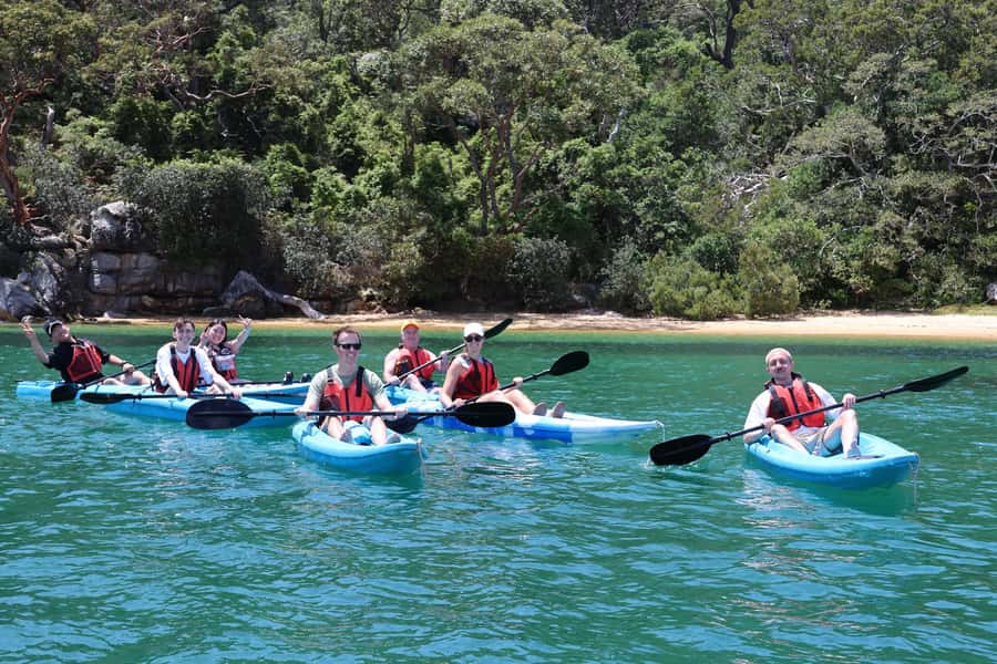 Sydney: Guided Kayak Tour of Manly Cove Beaches - Choosing between a single and double kayak