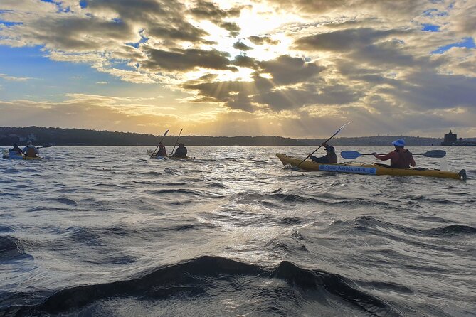 Sydney Harbour Bridge Kayak & Breakfast Tour - Getting set up with a safety briefing and PFD