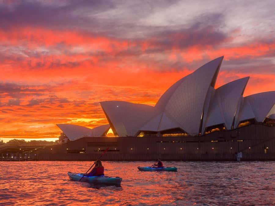 Sydney: Harbour Sunrise Kayak Tour - Who will enjoy this most?