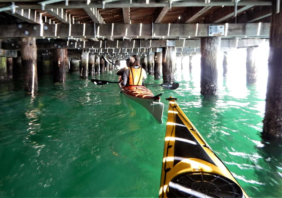 Sydney: Kayak to Goat Island At The Heart of Sydney Harbour - The bridge photo stop