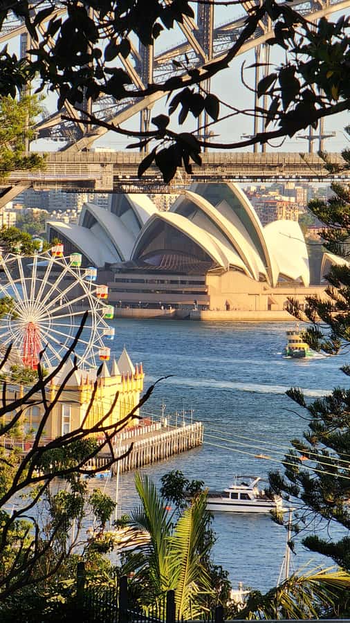 Sydney: Opera & Harbour Bridge Small-Group Kayak Tour - Under the Harbour Bridge: the tour’s big moment