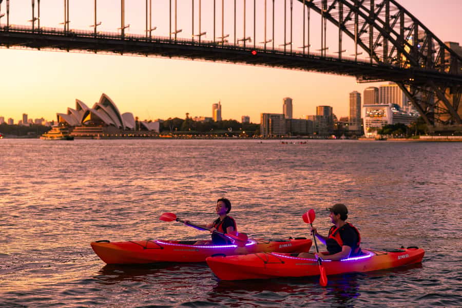 Sydney: Sunrise Kayak, Opera House & Under Harbour Bridge - Starting at Milson Park before sunrise