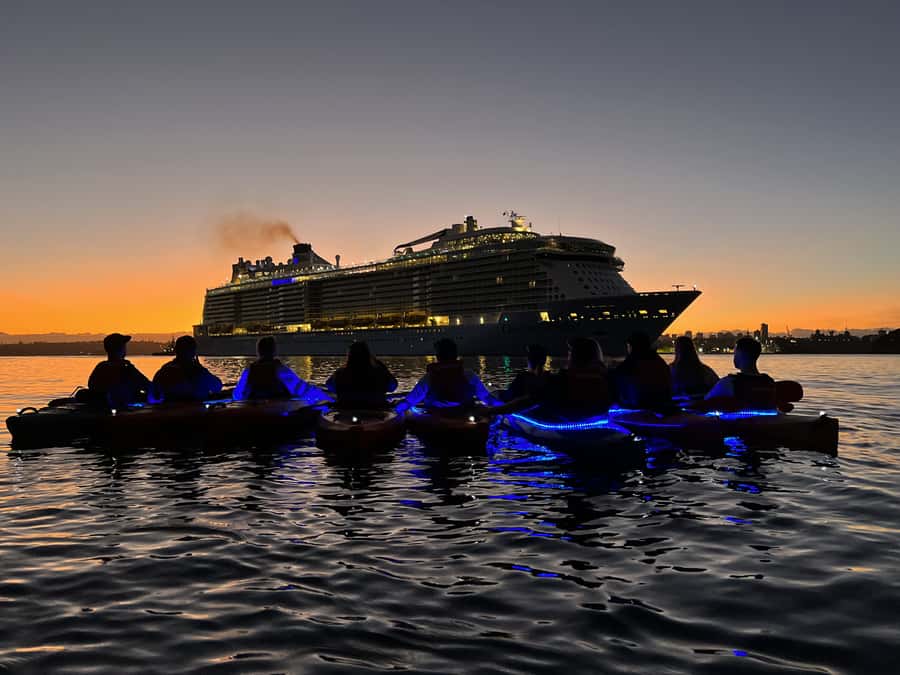 Sydney: Sunrise Kayak, Opera House & Under Harbour Bridge - What to wear and bring