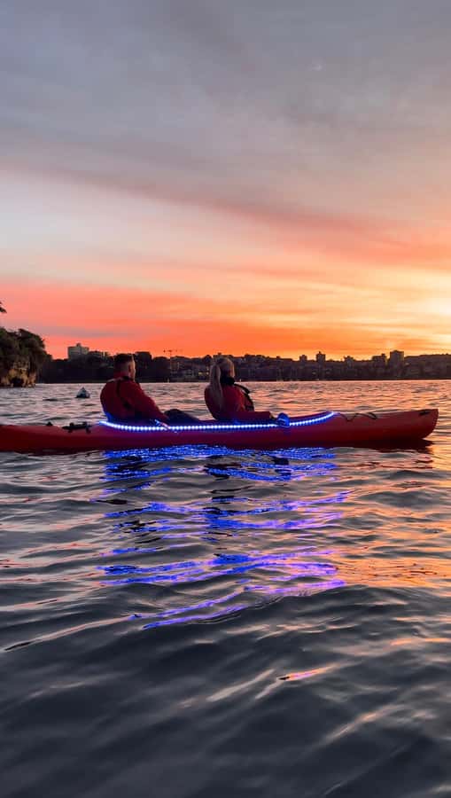 Sydney: Sunrise Kayak, Opera House & Under Harbour Bridge - Who should book this sunrise kayak tour?