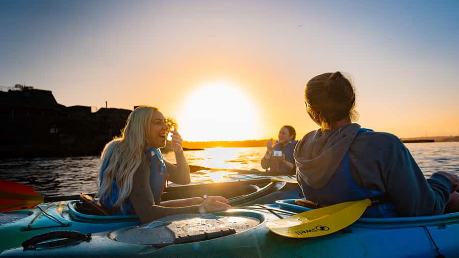 Sydney Sunrise Kayak Tour on Sydney Harbour - Kirribilli House and the return route