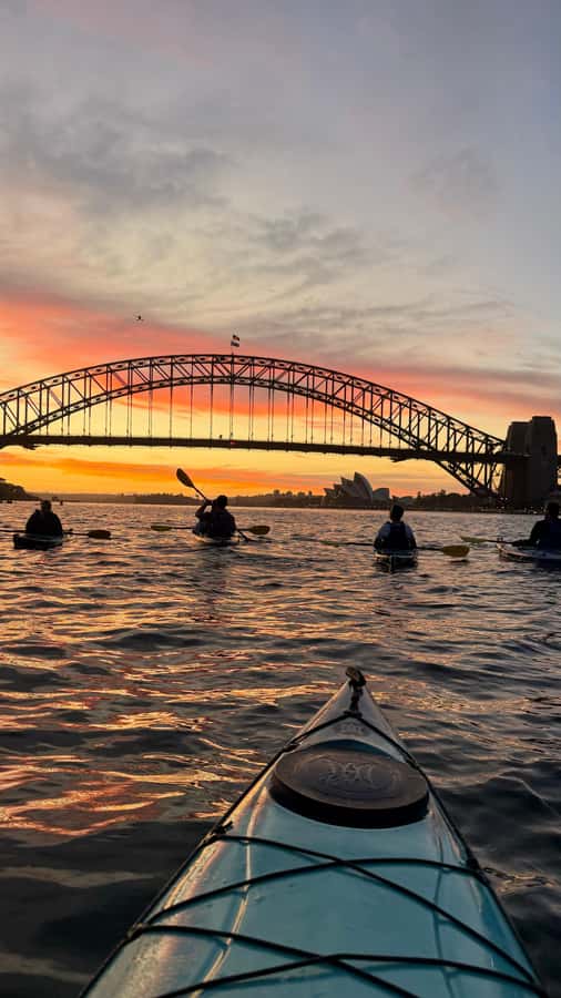 Sydney Sunrise Kayak Tour on Sydney Harbour - What the guides add to the experience