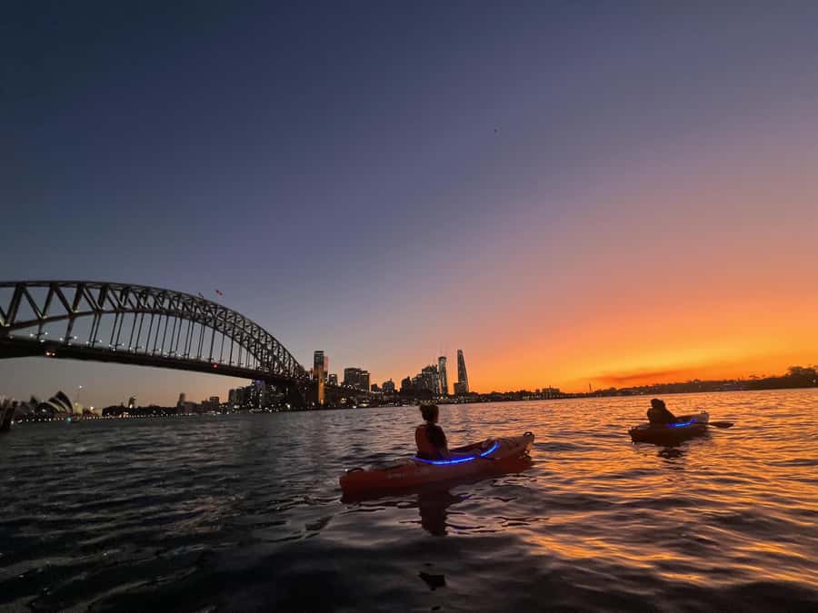 Sydney: Sunset Kayak Tour on Sydney Harbour - Key details before you book