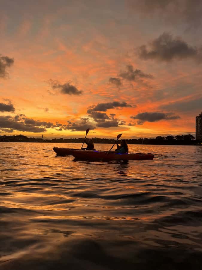 Sydney: Sunset Kayak Tour on Sydney Harbour - Kayak capacity and comfort