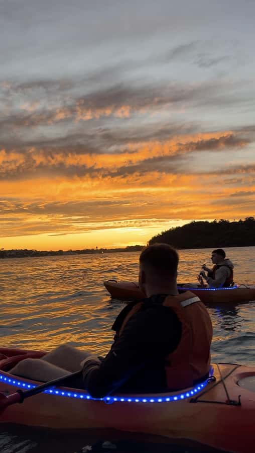 Sydney: Sunset Kayak Tour on Sydney Harbour - What the $105 price gets you