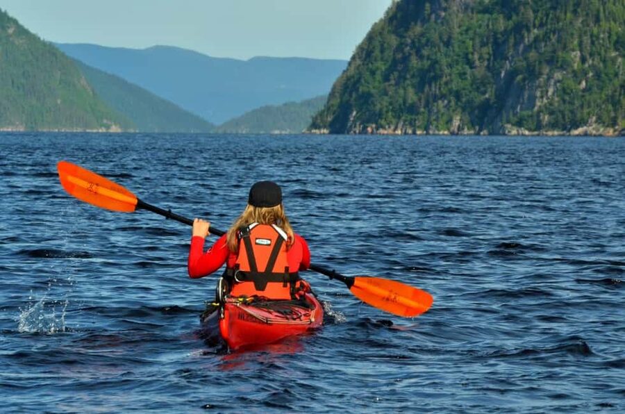 Tadoussac: Guided Sea Kayaking Adventure - Starting at Anse-de-Roche in Sacré-Coeur