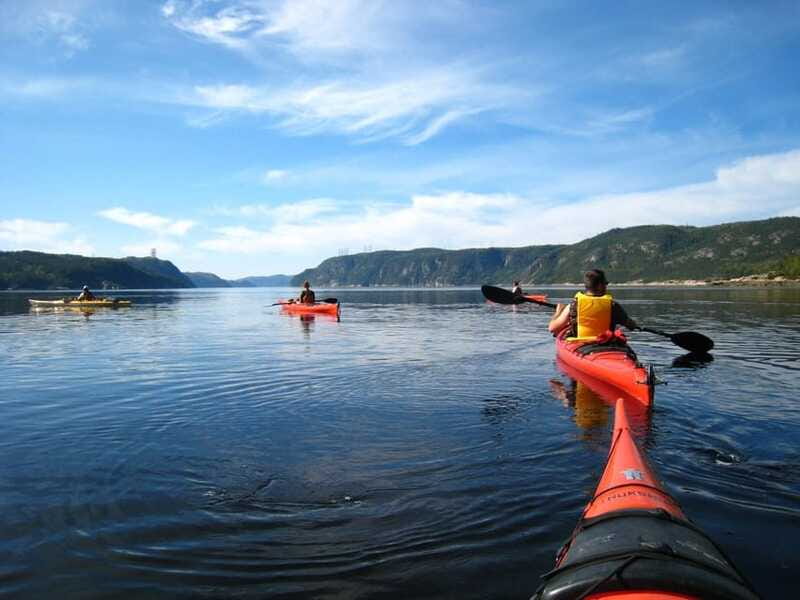 Tadoussac: Guided Sea Kayaking Adventure - What the guide adds to the outing