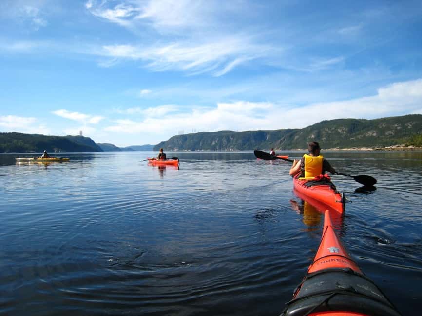 Tadoussac: Guided Sea Kayaking Adventure - Is $58 good value for two to three hours?